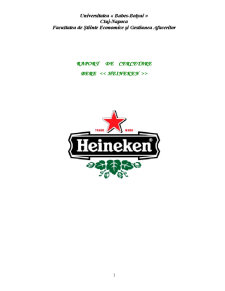 Raport de Cercetare - Berea Heineken - Pagina 1