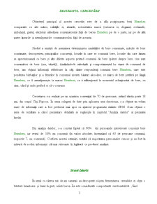 Raport de Cercetare - Berea Heineken - Pagina 3