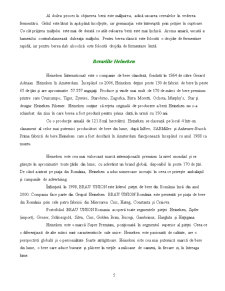 Raport de Cercetare - Berea Heineken - Pagina 5