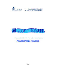 Informatică economică - SC Usual Electronics SRL - Pagina 1