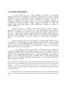 Politica promoțională a companiei Flex Cont SRL pe piața românească - Pagina 3
