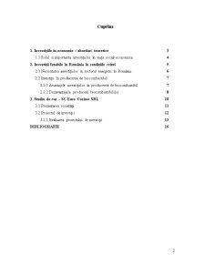 Evaluarea unui proiect de investiții în România în condițiile crizei economice mondiale. studiu de caz biocombustibilul - Pagina 2