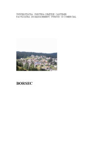 Orașul Borsec - Pagina 1