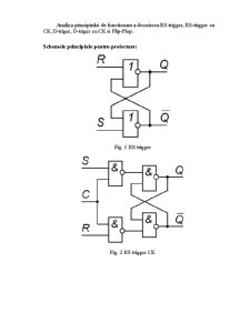 Microprocesoare - Pagina 2