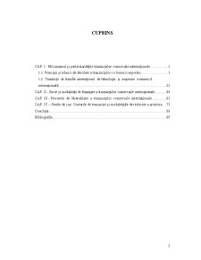 Modalități de Reducere a Costurilor Tranzacțiilor Internaționale - Pagina 3