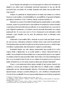 Conceptul de Patrimoniu și Necesitatea Protecției Penale a Patrimoniului - Pagina 2