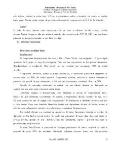 Analiza de starea a ecosistemului Rezervația Marină 2 Mai - Vama Veche - Pagina 5
