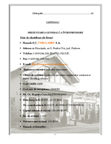 Întreprinderea în mediul competitiv - studiu de caz realizat la SC Tyrol Serv SA Păulești - Pagina 4