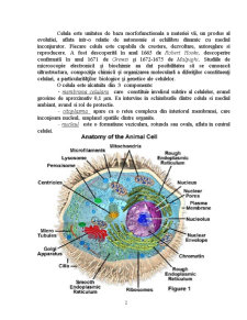 Biologie celulară - centrul celular - centriolii, fusuri de diviziune - Pagina 2