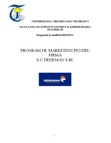 Program de marketing pentru Firma SC Dedeman SRL - Pagina 1