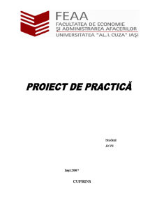 Proiect practică - SC Davisim SRL Iași - Pagina 1