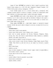 Proiect practică - SC Davisim SRL Iași - Pagina 5