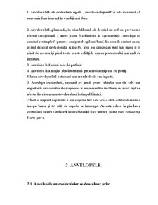 Studiu privind anvelopele clasificarea lor metodele de păstrare și exploatare - Pagina 4