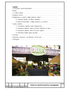 Practică managerială - restaurantul Oliva - Pagina 1