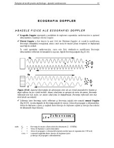 Efectul Doppler în Ecografie - Pagina 1