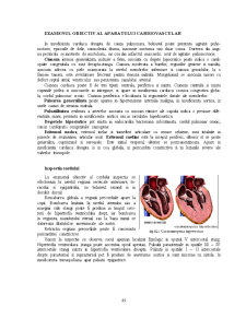 Semiologie Cardio-Vasculara - Pagina 3