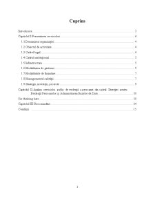 Analiză Direcția pentru Evidența Persoanelor și Administrarea Bazelor de Date - Pagina 2