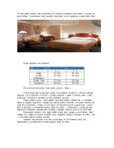 Hotel Europa - Gestionarea Deficiențelor în Procesul de Servire a Clienților - Pagina 3