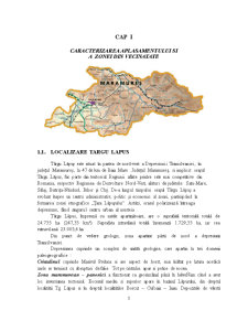 Gestionarea Deșeurilor Menajere în Localitatea Târgu Lapuș - Rohia - Pagina 3