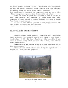Gestionarea Deșeurilor Menajere în Localitatea Târgu Lapuș - Rohia - Pagina 4