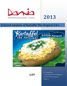 External Analysis of Kartoffel the Original SRL - Pagina 1