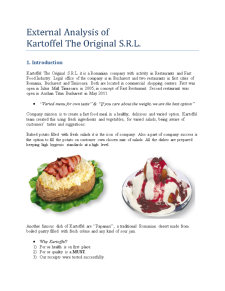 External Analysis of Kartoffel the Original SRL - Pagina 3