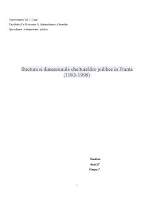 Structura și dimensiunile cheltuielilor publice în Franța - Pagina 1