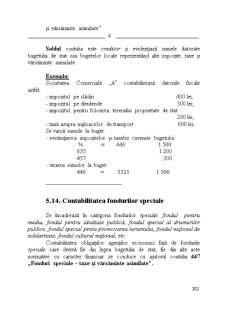 Contabilitate financiară - Pagina 171