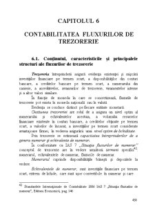 Contabilitate financiară - Pagina 316