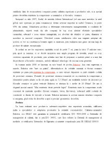 Elaborarea unui sistem de management de mediu integrat pentru organizația sc Ceramica SA Iași - Pagina 4