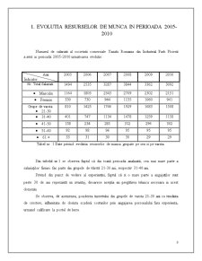Analiza statistică a situației resurselor de muncă la SC Yazaki România SRL - Pagina 3