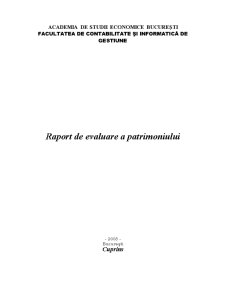 Raport de Evaluare a Patrimoniului - Pagina 1
