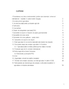 Instrumentele juridice ale sistemului comercial internațional rezultate în cadrul Rundei Uruguay - Pagina 2
