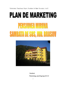Plan de Marketing - Pensiunea Miruna - Pagina 1