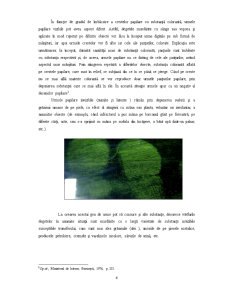 Investigarea dactiloscopică - Pagina 4