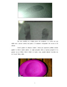 Investigarea dactiloscopică - Pagina 5