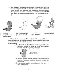 Ulcerul Gastric - Pagina 5