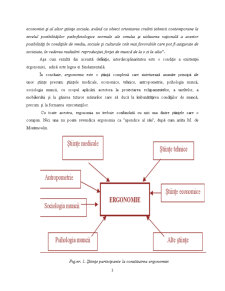 Abordarea și reconcepția ergonomică a sistemului om-mașină - mediu pentru munca de birou - Pagina 3