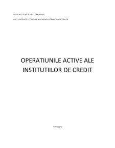 Operațiunile active ale instituțiilor de credit - Pagina 1
