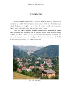 Studiu de caz. satul turistic Bran - Pagina 3