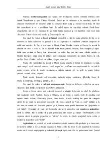 Studiu de caz. satul turistic Bran - Pagina 5