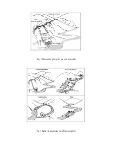 Bazele proiectării de produs - microhidrocentrale - Pagina 3