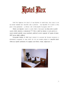 Analiza-Diagostic a Hotelului Rex - Pagina 3
