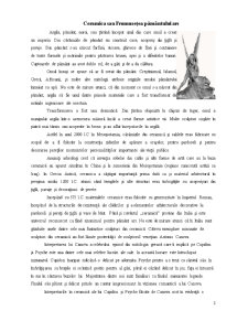 SC Romanceram SA - Marfuri Ceramice - Merceologie Nealimentara - Pagina 3