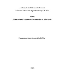 Management și Performanță în IMM-uri - Pagina 1