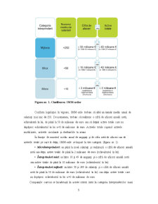Management și Performanță în IMM-uri - Pagina 5