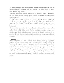 SA Carmez - Pagina 4