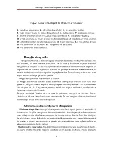 Tehnologii Generale de Limpezire și Stabilizare a Vinului - Pagina 5