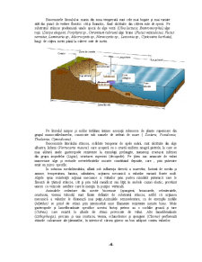 Biomul - zona costieră a Mării Negre - Pagina 4