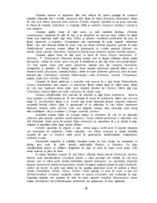 Biomul - zona costieră a Mării Negre - Pagina 5
